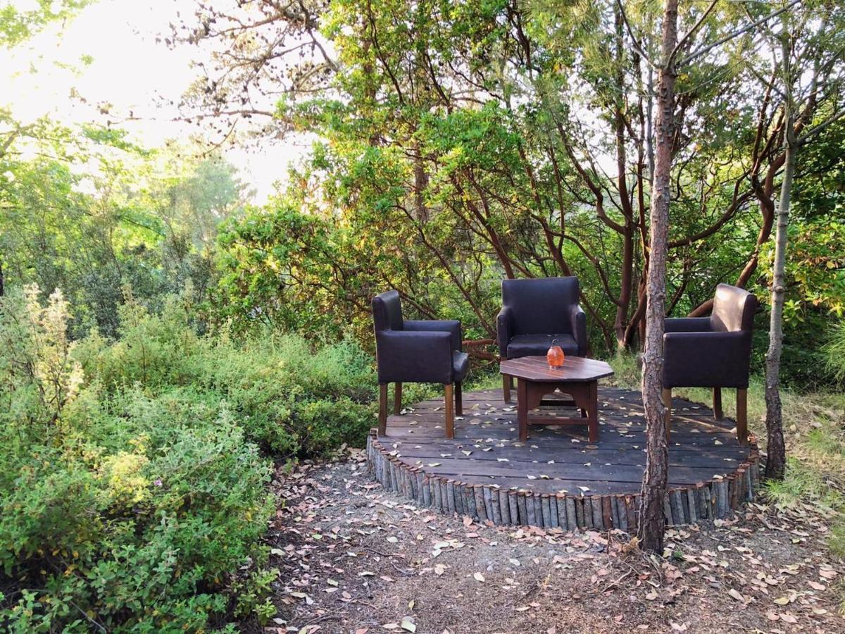 Vinsan Glamping & Wellness Centre Eleousa